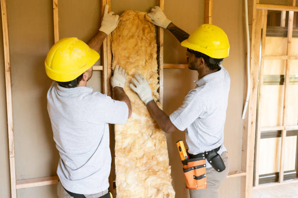 Best Spray Foam Insulation  in Moyock, NC